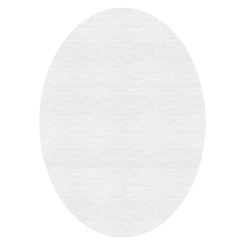 Grey Egg Shape Illustration on Transparent Background