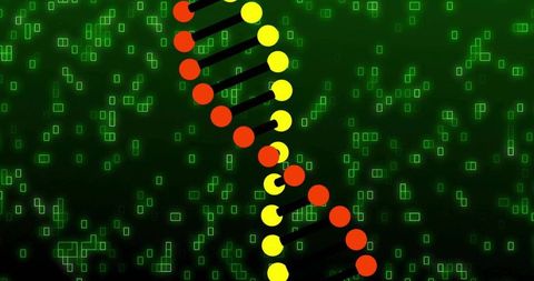 Neon dna double helix spiraling through digital matrix with red and yellow nodes