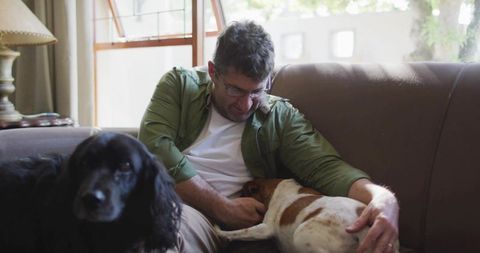 Man Relaxing with Two Dogs on Sofa Embracing Domestic Comfort