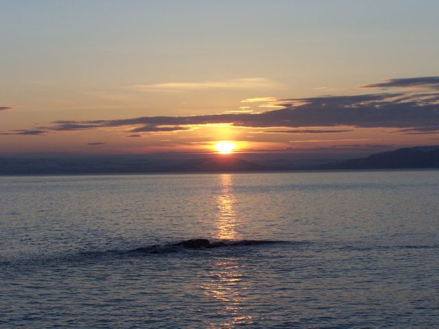 Serene Ocean Sunset with Reflecting Light - Download Free Stock Photos Pikwizard.com
