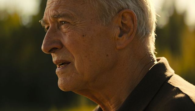Gazing senior man bathed in golden hour light outdoor profile portrait showing wisdom