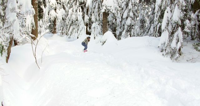 Child enjoying a winter day in a snowy forest, surrounded by snow-covered trees and fresh snow. Perfect for depicting winter recreation, holidays, outdoor activities, and family fun. Great for websites and marketing materials that focus on winter sports, holiday adventures, or nature trips.