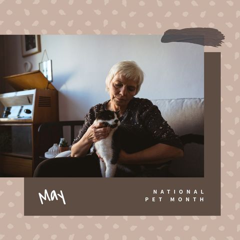 senior woman enjoying national pet month with her cat - Download Free Stock Templates Pikwizard.com