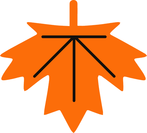 Transparent orange leaf flat vector with radiating lines