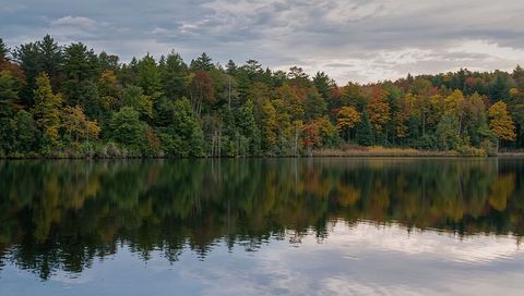 Autumn Foliage and Pine Trees Mirroring on Lake Surface