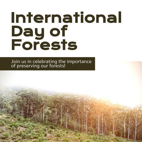 Celebrating International Day of Forests with Scenic Forest Landscape - Download Free Stock Templates Pikwizard.com