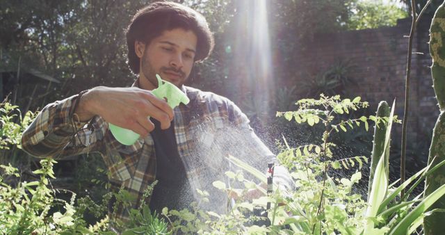 Man Spraying Plants with Water in Sunny Garden - Download Free Stock Images Pikwizard.com