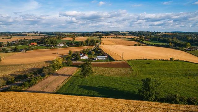 Golden patchwork farmland stretching across rolling countryside, aerial harvest landscape