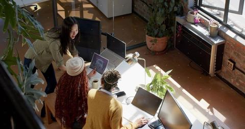 Collaborating women reviewing data charts on laptops in modern loft office with plants