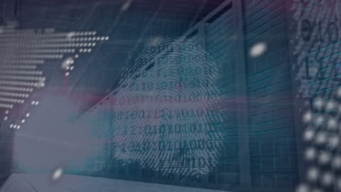 Digital Fingerprint on Binary Code and Server Rooms