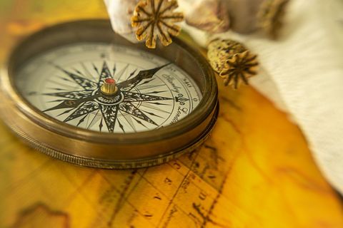 Vintage brass compass on aged nautical map with dried poppy pods and warm golden light
