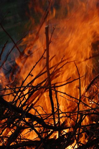 Close-up raging bonfire burning brush pile with tall orange flames and dancing sparks