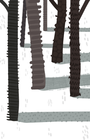 transparent tree trunks in snowy winter forest - Download Free Stock Videos Pikwizard.com