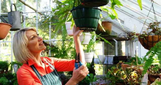 Woman Pruning Plants in Greenhouse - Download Free Stock Images Pikwizard.com