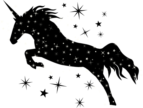 magical floral and star trail on transparent background - Download Free Stock Videos Pikwizard.com