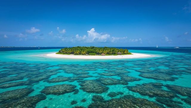 Tropical Island Oasis Amidst Vibrant Coral Reefs