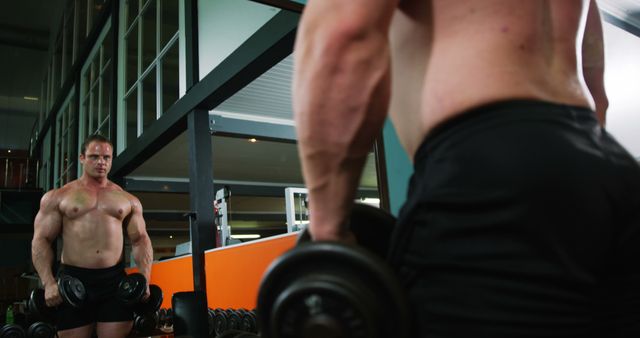 Bodybuilder Training with Dumbbells in Gym - Download Free Stock Images Pikwizard.com