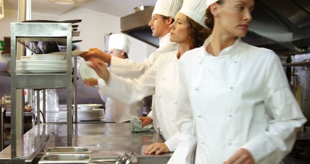 Professional Chefs Working in a Busy Restaurant Kitchen - Download Free Stock Images Pikwizard.com