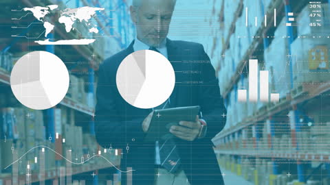 Inventory Management with Digital Interface in Warehouse
