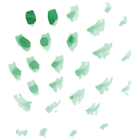 Abstract Green Shapes on Transparent Background Artwork