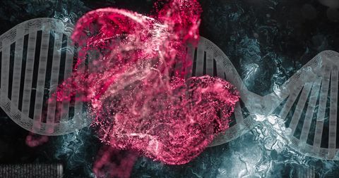 Dynamic DNA Strand with Red Particle Swirl