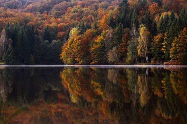 Colorful autumn forest reflecting over calm, glassy lake surface providing a peaceful, serene scene perfect for nature and travel content, seasonal promotions, calendars, banners, or inspirational backgrounds focusing on tranquility and the beauty of fall foliage.