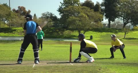 Cricket Players Engaged in Intense Gameplay on a Sunny Day