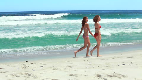 Two Friends Walking on Sandy Beach by Ocean Waves
