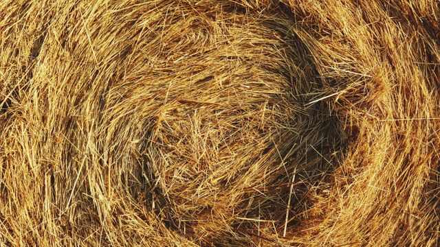 Detailed shot of a rolled hay bale displaying intricate swirling patterns. Perfect for use in agricultural content, natural textures background, or any design requiring rural, rustic, and organic elements.