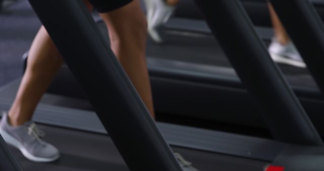 People Walking on Modern Treadmills in Fitness Gym - Download Free Stock Images Pikwizard.com