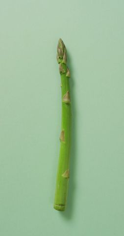 Fresh Asparagus Stalk on Green Background Vegetable Concept