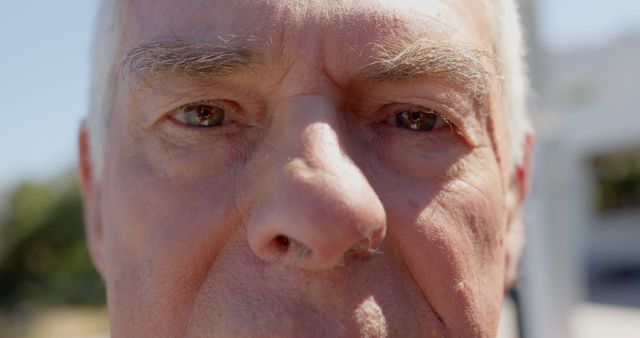 Close-Up of Elderly Man's Face in Sunlight - Download Free Stock Images Pikwizard.com