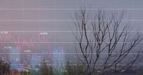 Silhouetting leafless tree merging with fog and translucent financial charts