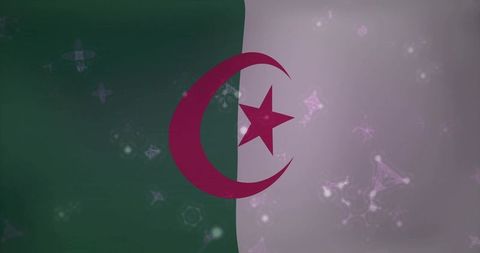 Algerian flag closeup showing crescent and star, green white tricolor with pink bokeh
