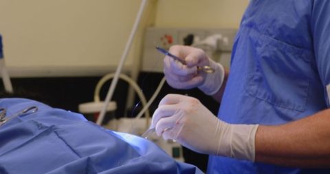 Veterinarian Surgeon Performing Surgery on Horse in Operating Room