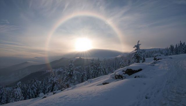Golden sun halo over alpine winter ridge with snow-covered fir trees and winding trail