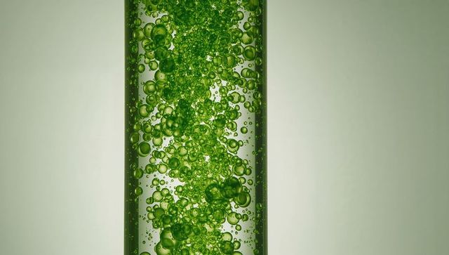 Showing transparent glass tube containing vibrant green bubbling liquid for lab concept