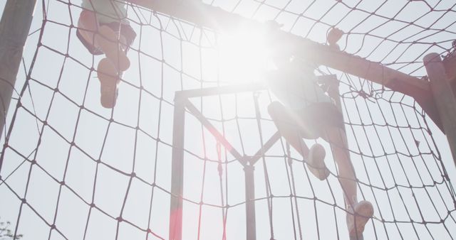 Children Climbing Playground Net with Sun Flare Effect - Download Free Stock Images Pikwizard.com