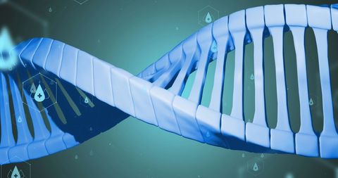 Digital Representation of DNA Strand with Data Elements - Download Free Stock Images Pikwizard.com
