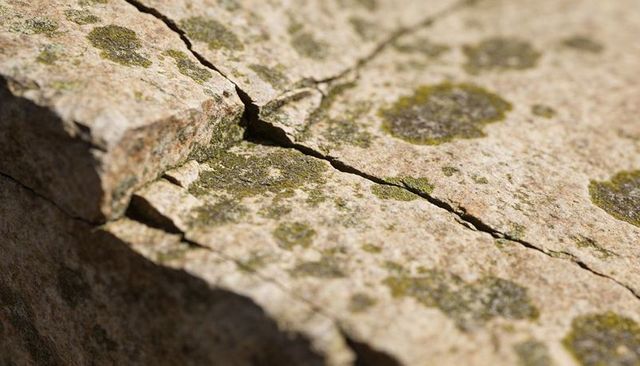 Sunlit weathered sandstone slab with diagonal fissure and green lichen macro texture close-up