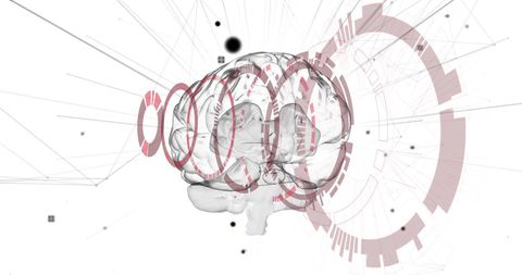 Digital Brain with Data Networks and Circular Connections - Download Free Stock Images Pikwizard.com