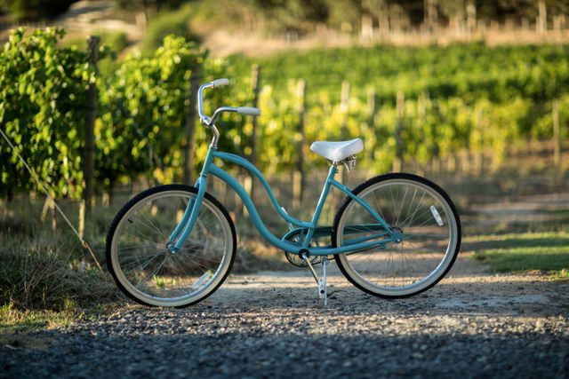Vintage bicycle parked in a vineyard at sunset, perfect for illustrating themes of travel, leisure, and countryside adventures. Ideal for use in travel blogs, outdoor activity promotions, and lifestyle magazines.