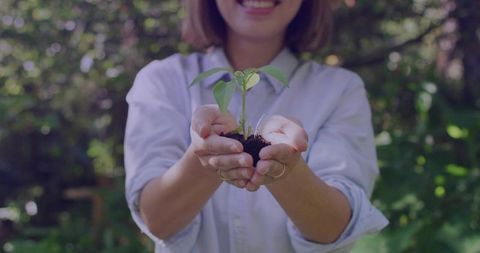 Chinese woman holding seedling in cupped hands nurturing young plant in sunlit garden