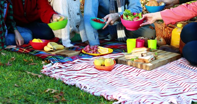 Family Enjoying Picnic on Blanket in Park with Healthy Foods - Download Free Stock Images Pikwizard.com