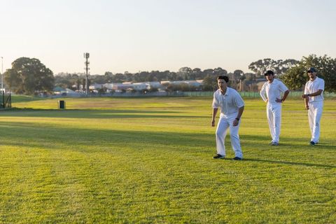 Diverse male cricket teammates practicing fielding on sunlit outfield during golden hour