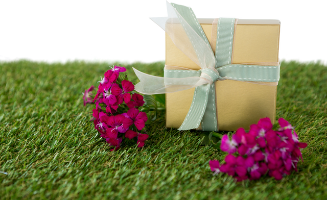 Smaller gift box with a transparent ribbon and pink flowers realistic green grass on clients request - Download Free Stock Videos Pikwizard.com