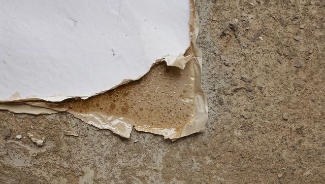 Peeling white poster revealing amber adhesive droplets on weathered plaster wall
