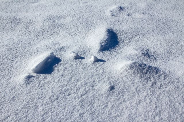 Fresh Snow Cover on Ground with Subtle Mounds - Download Free Stock Photos Pikwizard.com