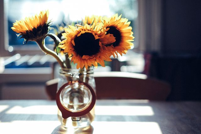 Yellow Sunflowers in Clear Glass Jar during Daytime - Download Free Stock Photos Pikwizard.com