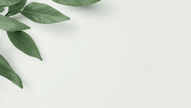 Minimal green leaf sprig on soft pale background with ample copy space for design
